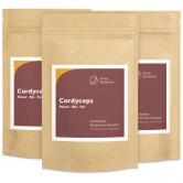 Bio Cordyceps Pulver, 100 g, 3er Pack 